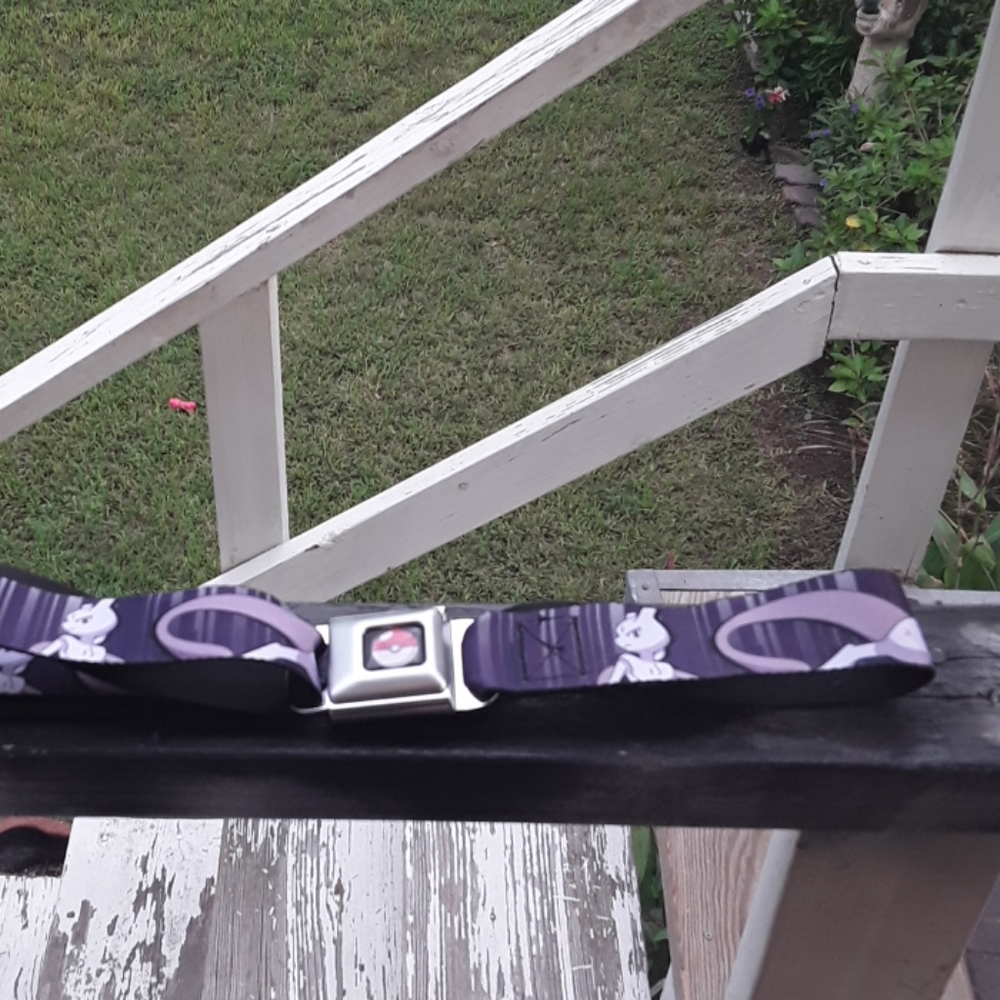 Pokemon belt